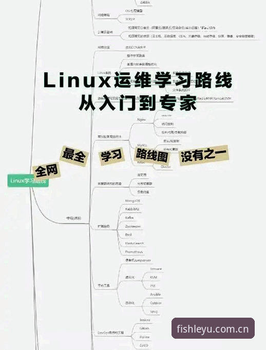 乐鱼体育平台官方正版下载安装教程：从入门到精通的操作指南